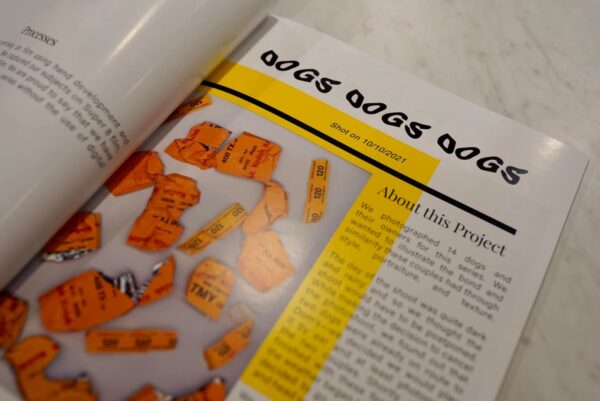 Dogs Dogs Dogs Photobook - Image 4