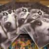 Dogs Dogs Dogs Photobook - Image 2