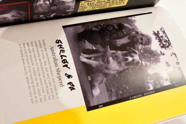 Dogs Dogs Dogs Photobook - Image 8