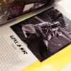 Dogs Dogs Dogs Photobook - Image 6