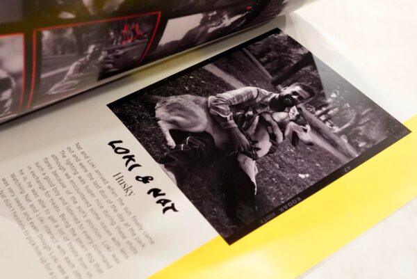 Dogs Dogs Dogs Photobook - Image 6