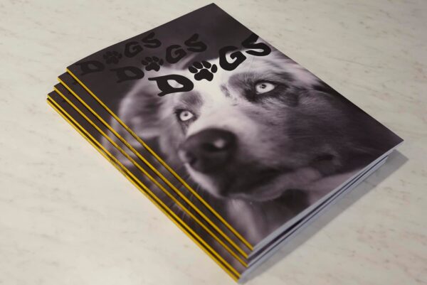 Dogs Dogs Dogs Photobook