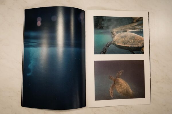 Hawaii Zine - Image 3