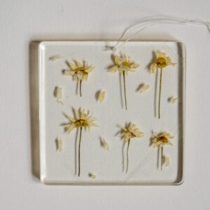 "Pushing Up Daisies" Resin Piece