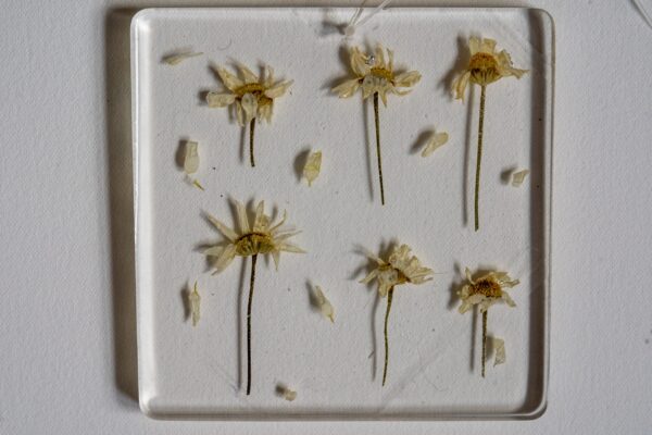 "Pushing Up Daisies" Resin Piece - Image 2