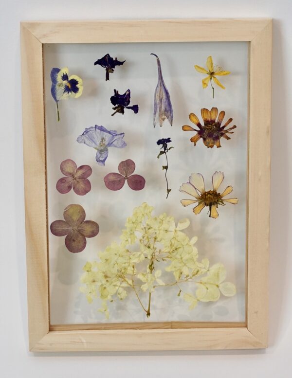 "Floating Flowers" Framed Flowers