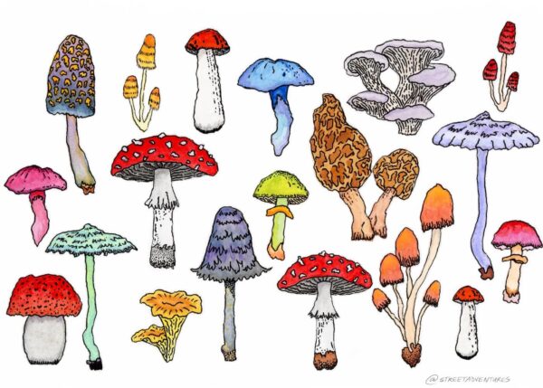 Mushroom Print
